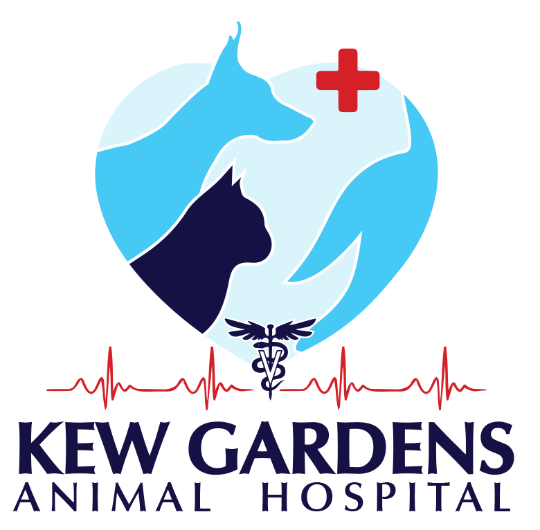 Gardens veterinary sale clinic